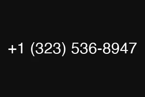 +1 (323) 536-8947
