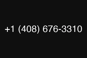 +1 (408) 676-3310