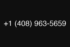 +1 (408) 963-5659