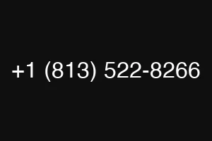 +1 (813) 522-8266