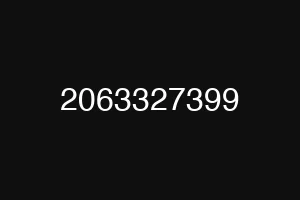 2063327399