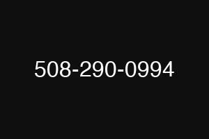 508-290-0994