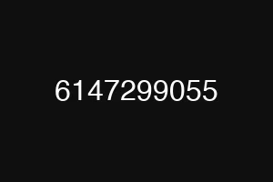 6147299055