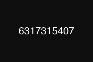 6317315407