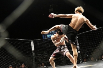 The Truth About the UFC